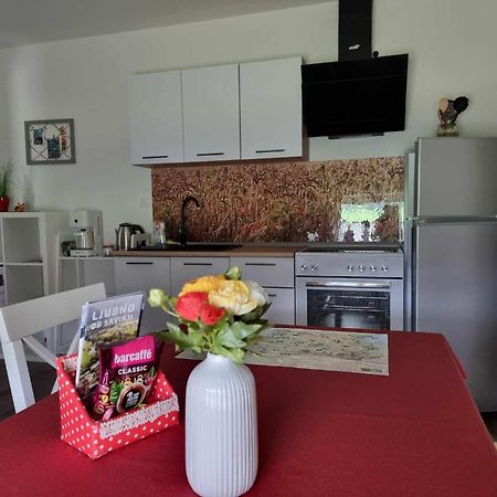 Apartmaji Ribic Ljubno Экстерьер фото