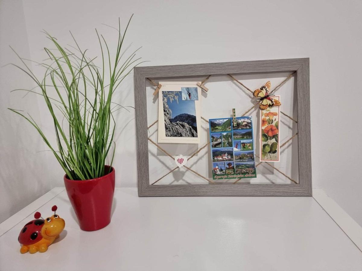 Apartmaji Ribic Ljubno Экстерьер фото
